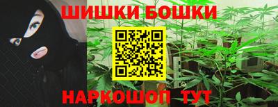МДПВ Дубна
