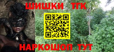 МДПВ Дубна