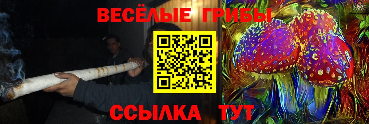 Галлюциногенные грибы MAGIC MUSHROOMS Дагестанские Огни