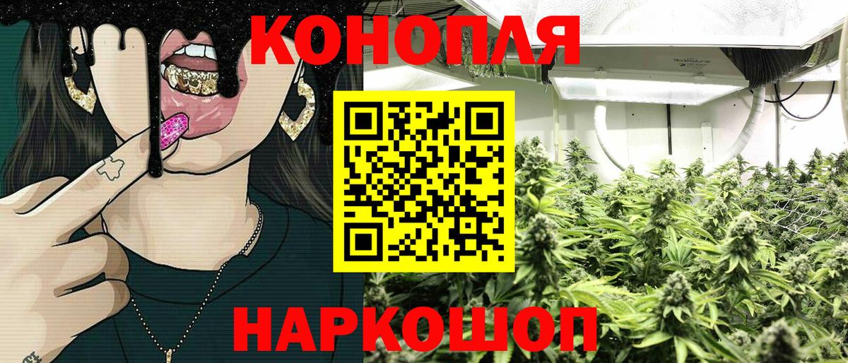 Бошки марихуана планчик  Вход с VPN  МАРИХУАНА сатива  Дагестанские Огни 